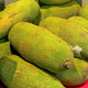 鲜指南 海南黄肉菠萝蜜 20-25斤单个装