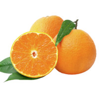 芬果时光 果冻橙 大果 单果70mm+ 2kg