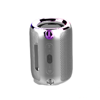 EARISE 雅兰仕 S18 便携蓝牙音箱 科技银