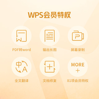 WPS 金山软件 wps会员年卡 4年