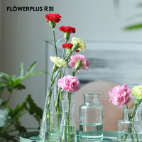 FlowerPlus 花加 康乃馨10枝鲜花插花基地直发花束