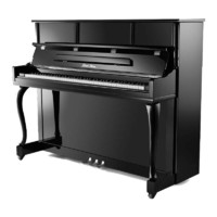 PEARL RIVER 珠江钢琴 C2E 立式钢琴 120cm 黑色 专业考级