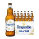 Hoegaarden 福佳 白啤酒 比利时原装进口啤酒Hoegaarden小麦白啤酒精酿果味整箱 Hoegaarden330*24瓶进口8月到期