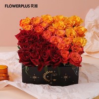 FlowerPlus 花加 33枝玫瑰礼盒渐变红玫瑰鲜花速递同城配送
