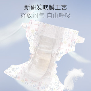 BebeTour 爱丽丝系列 婴儿纸尿裤 XL码-38片/包