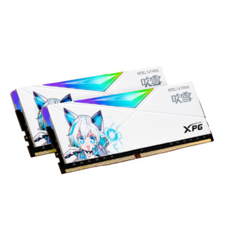 ADATA 威刚 XPG系列 龙耀 D50 吹雪联名款 DDR4 3600MHz RGB 台式机内存 灯条 釉白 32GB 16GB*2