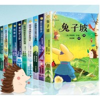 《纽伯瑞国际儿童文学金奖小说》全套10册