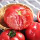 沙瓤西红柿 3斤小果