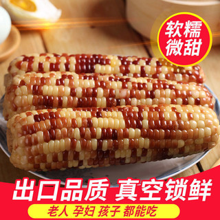穗康 花糯玉米5支彩糯出口品质非转基因零添加甜糯玉米棒