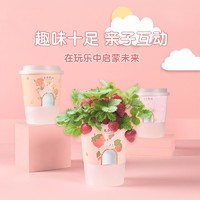 抖音超值购：ecoeY 生态E园 开心农场diy儿童种植，创意迷你植物，幼儿园可爱小盆栽