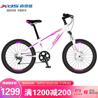 XDS 喜德盛 青少年儿童自行车中国风24英寸  （1299元包邮  需用券）