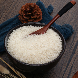 园侬鲜东北稻花香大米农家稻田米10斤当季大米一级粳米新米5kg