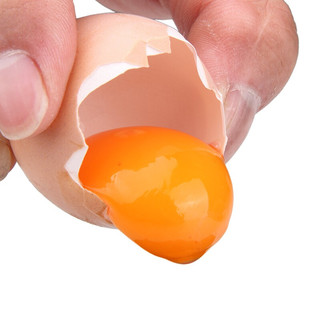 九華粮品 散养土鸡蛋 50枚 1.9kg