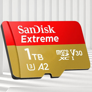 SanDisk 闪迪 至尊极速系列 A2U3V30 Micro-SD存储卡 1TB（U3，A2，V30）