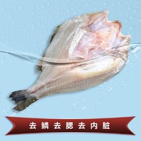 SuXian 速鲜 新鲜活冻三去开背白蕉海鲈 300-400g/条