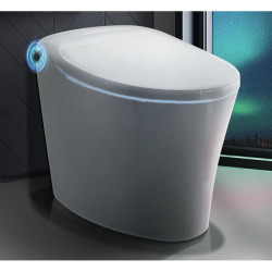 moen 摩恩 优诗美地系列 sw1114c 智能马桶 305mm