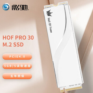 GALAXY 影驰 名人堂HOF PRO 1TB固态硬盘M.2 PCIe4.0 名人堂HOF 1TB M.2 PCIe 4.0