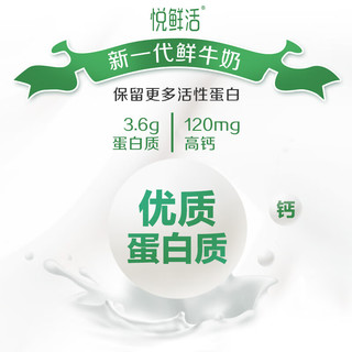 悦鲜活 活性蛋白牛乳 450ml*4瓶+A2 260ml*4瓶 低温牛奶