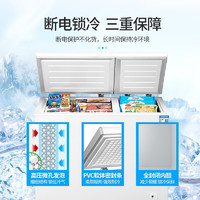 Little Duck 小鸭 冰柜商用大容量家用冷冻小型一级能效立式冷冻冰柜451