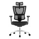 PLUS会员：保友办公家具 优B 人体工学电脑椅 黑色 高配版 2代