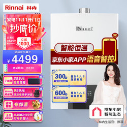 Rinnai 林内 零干扰系列 JSQ31-D06W 燃气热水器 16L