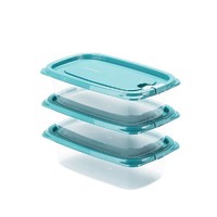CHAHUA 茶花 厨房收纳保鲜塑料储物盒 蓝色3个装