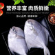 源客行 大号银鲳鱼 新鲜白鲳鱼海鱼平鱼  每斤3-5条 2斤