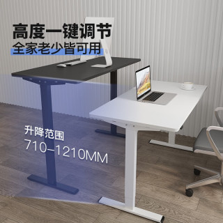 乐歌(Loctek) 电动升降桌青春派智能电脑桌站立式台式办公简约家用居家书桌E2S 白桌腿+原木色桌板 1.2*06米桌板