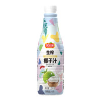 HUANLEJIA 欢乐家 果肉型 生榨椰子汁 植物蛋白饮料 1.25kg
