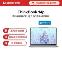 ThinkPad 思考本 ThinkBook 14p 五代锐龙版 14.0英寸 轻薄本 灰色 (锐龙R7-5800H、核芯显卡、16GB、512GB SSD、2.2K、IPS、90Hz、20YN0000CD)