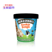 Ben & Jerry's本杰瑞香草巧克力曲奇碎冰淇淋465mL海外原装进口牛奶雪糕桶装冷饮
