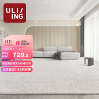 优立地毯 优立 客厅地毯 羊毛现代轻奢卧室地毯  颜素01-160×240CM