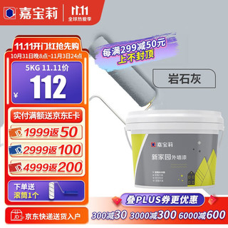 CARPOLY 嘉宝莉 新家园外墙漆 薄雾灰紫色 5kg