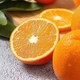 秭归脐橙新鲜橙子 2斤装 九月红果冻橙脐橙现摘现发应季水果 55mm(含)-60mm(不含)