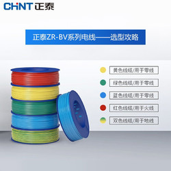 CHNT 正泰 电线电缆 阻燃ZR-BV2.5平方  100m