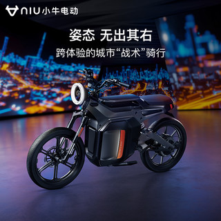小牛电动 SQi跨骑新国标电动自行车 动力版 TDK02Z
