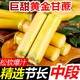 广西黄皮甘蔗9斤果径4-5cm松软超甜爆汁可手撕皮精品