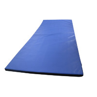 JOINFIT 体操垫 瑜珈舞蹈垫 仰卧起坐垫运动地垫 蓝色