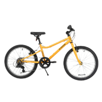 DECATHLON 迪卡侬 HYC 100 儿童自行车 20寸 枇杷黄