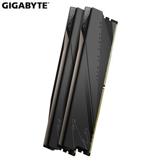 技嘉（GIGABYTE） DDR4 3200 3600 8G 16G内存条 RGB灯条 台式机内存 5200 DDR5 32GB (2x16GB)