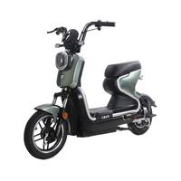 ZUB 五星钻豹 B6 电动自行车 TDT27Z 48V20Ah铅酸电池 曜石绿/电镀银