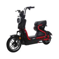 ZUB 五星钻豹 B6 电动自行车 TDT27Z 48V20Ah铅酸电池 钢琴黑/丝光红