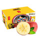 PLUS会员：塞外红 阿克苏苹果礼盒 净重5kg 果径80-85mm 约16-25粒