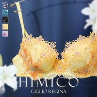 诗萝涵朵 HIMICO日本文胸性感蕾丝小胸聚拢收副乳暗黑哥特刺绣贴花少女内衣