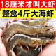 美萍 盐冻虾4斤 18至20厘米青岛特大虾