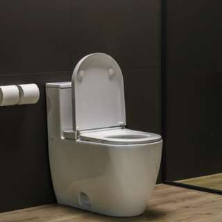 DURAVIT 杜拉维特 Stacrk系列 219001E+612001 智能马桶组合 305mm坑距