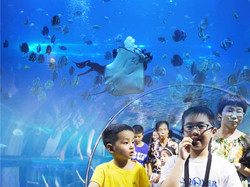 北京太平洋海底世界 兒童票秒殺