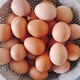 鲜鸡蛋20枚 农家散养鸡蛋(单枚40-50g)