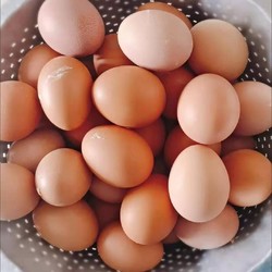 鲜鸡蛋20枚 农家散养鸡蛋(单枚40-50g)