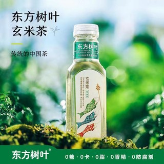 农夫山泉 东方树叶青柑普洱茉莉花茶无糖饮料500ml